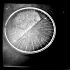 Title : La roue de la rue de Clignancourt, Paris, Septembre 2004.
Camera : Diana clone 'Banner' 
Max. Print Size : 6000x6000 pixels (24'x24' - 60x60 cm.)
Author : Pascal Labrouill?re

Views: 1657
Date: 01.09.04
800x800 (277.2 KB)