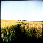 Title : Champ de bl?, ? Parnes, Juillet 2005.
Camera : Great Wall 6x6 - Reala100
Max. Print Size : 7100x7100 pixels (71x71 cm.)
Author : Pascal Labrouill?re

Views: 327
Date: 11.07.05
800x800 (453.3 KB)