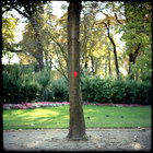Title : Arbre rouge n�10, sur les  Champs-Elys�es, Paris, Sept. 2005.
Camera : Great Wall 6x6 - Fuji Reala 100
Max. Print Size : 7100x7100 pixels (71x71 cm.)
Author : Pascal Labrouill�re

Views: 449
Date: 19.09.05
800x800 (682.6 KB)